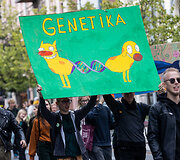 Vilniaus universiteto eisena Gedimino prospektu