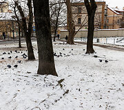 Vilniaus senamiestis