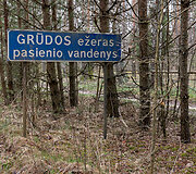 Pasienis