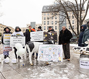 Pienininkų protestas prie Vyriausybės