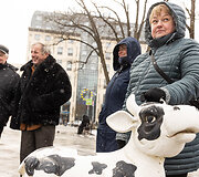 Pienininkų protestas prie Vyriausybės