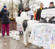 Pienininkų protestas prie Vyriausybės