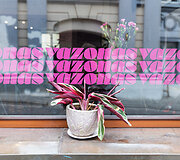 Baras &bdquo;Vazonas&ldquo;