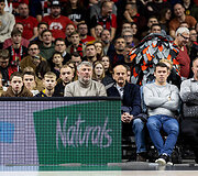 LKL rungtynės: Vilniaus "Rytas" - "Wolves"