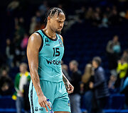 Europos taurės rungtynės: "Wolves" - Londono "Lions"