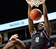 Europos taurės rungtynės: &bdquo;Wolves&ldquo; - &bdquo;Paris Basketball&ldquo;
