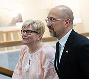 Ingrida &Scaron;imonytė, Denysas &Scaron;myhalis
