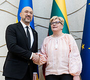 Denysas &Scaron;myhalis, Ingrida &Scaron;imonytė