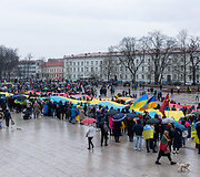 Ukrainos palaikymo mitingas