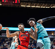 Javin DeLaurier, Christian Mekowulu