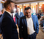 Virginijus Sinkevičius, Petras Gražulis