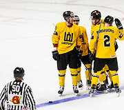 Ledo ritulio rungtynės: Lietuva &ndash; Nyderlandai