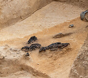 Verkių dvarvietėje pristatomas archeologinis atradimas &ndash; aptikti XIII&ndash;XIV amžių kapai