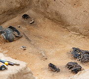 Verkių dvarvietėje pristatomas archeologinis atradimas &ndash; aptikti XIII&ndash;XIV amžių kapai
