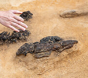 Verkių dvarvietėje pristatomas archeologinis atradimas &ndash; aptikti XIII&ndash;XIV amžių kapai