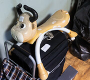 Radiniai vie&scaron;ajame transporte