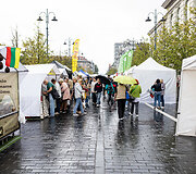 Tautų mugė Gedimino prospekte