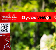 Gyvos vietos kūrybi&scaron;kumo centre &bdquo;Pragiedruliai&ldquo;