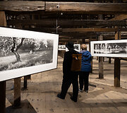 Virgilijaus Usinavičiaus-Augulio paroda &bdquo;Vilniaus panoramos&ldquo; 