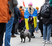 Piketas prie LR Vyriausybės