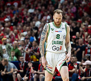 Ignas Brazdeikis
