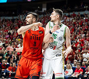 Laurynas Birutis