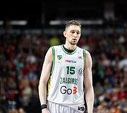 Laurynas Birutis