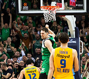 Laurynas Birutis