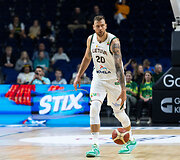 Donatas Motiejūnas