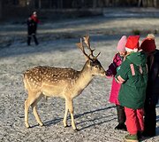 &bdquo;Perlinių danielių parkas&ldquo;