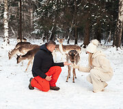 Karolis ir Erika, &bdquo;Perlinių danielių parkas&ldquo;