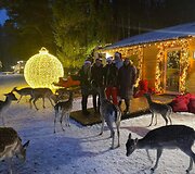 &bdquo;Perlinių danielių parkas&ldquo;