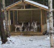 &bdquo;Perlinių danielių parkas&ldquo;
