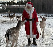 &bdquo;Perlinių danielių parkas&ldquo;