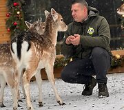&bdquo;Perlinių danielių parkas&ldquo;