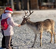 &bdquo;Perlinių danielių parkas&ldquo;