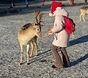 &bdquo;Perlinių danielių parkas&ldquo;