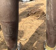 Toposa gentis, Pietų Sudanas
