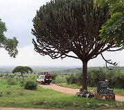 Viktorijos įspūdžiai i&scaron; safarių Afrikoje