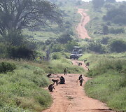 Viktorijos įspūdžiai i&scaron; safarių Afrikoje