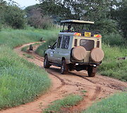 Viktorijos įspūdžiai i&scaron; safarių Afrikoje
