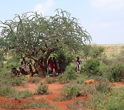 Viktorijos įspūdžiai i&scaron; safarių Afrikoje