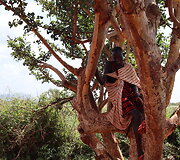 Viktorijos įspūdžiai i&scaron; safarių Afrikoje