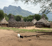 Larim gentis, Pietų Sudanas