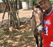 Sklypo savininkas Williamas myli arklius ir pozuoja su Afina, kurią pavyko atgauti i&scaron; vagių &ndash; kinų darbininkų