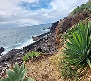 Madeira