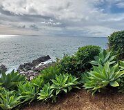 Madeira
