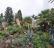 Madeira