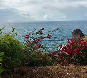 Madeira