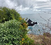 Madeira
